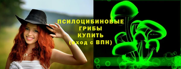 a pvp Гусев