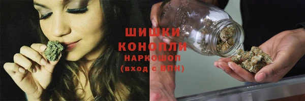 соль ск Гусь-Хрустальный