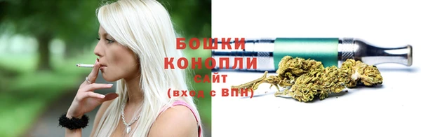 соль ск Гусь-Хрустальный