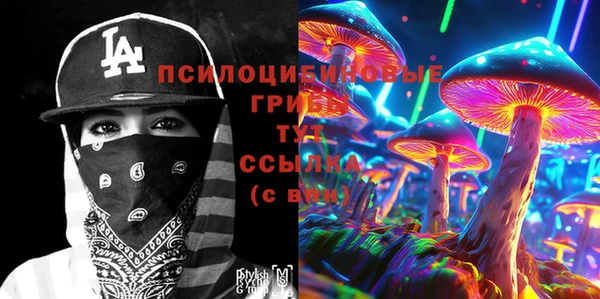 марки lsd Гусиноозёрск